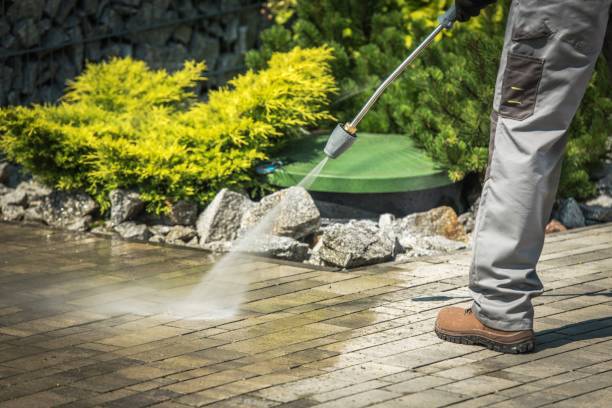 Best Pre-Holiday Cleaning  in Springville, UT