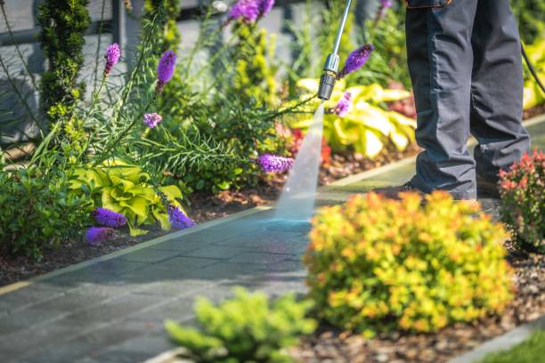 Best Restaurant Pressure Washing  in Springville, UT