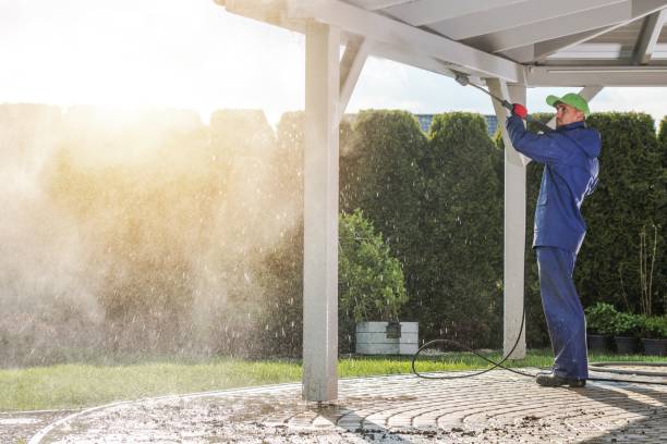 Best Boat and Dock Cleaning  in Springville, UT
