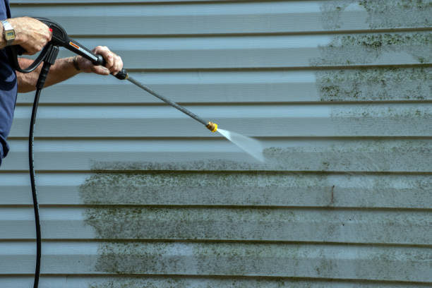 Animal Enclosure Cleaning in Springville, UT