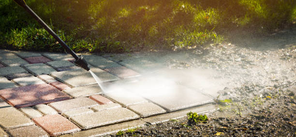 Best Soft Washing  in Springville, UT